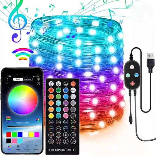 LED Light String 40-key Infrared Wireless Remote And Bluetooth Smart APP Control