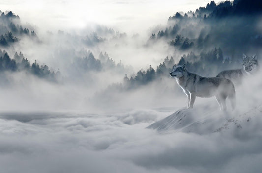 Wolf looking at mountain pattern tapestry