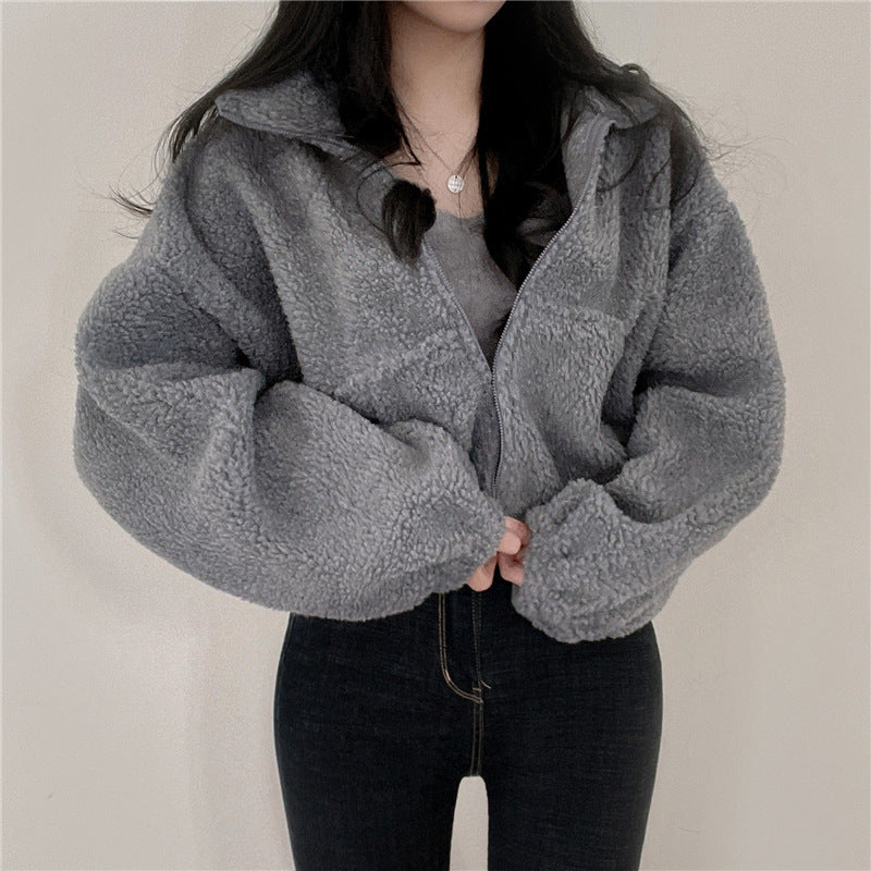 Stand-up Collar Thermal Faux Lamb Fur Coat Women's Autumn And Winter New Loose Temperament Zip Cardigan Tops