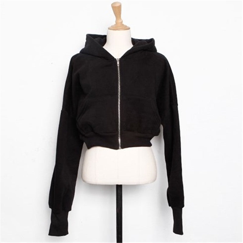 Autumn And Winter New Fashion Zipper Coat Pure Cotton High-grade Hooded American Short Sports Sweater