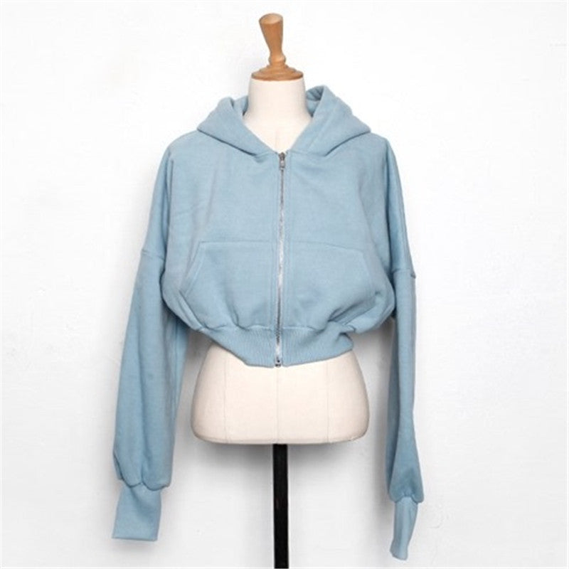 Autumn And Winter New Fashion Zipper Coat Pure Cotton High-grade Hooded American Short Sports Sweater