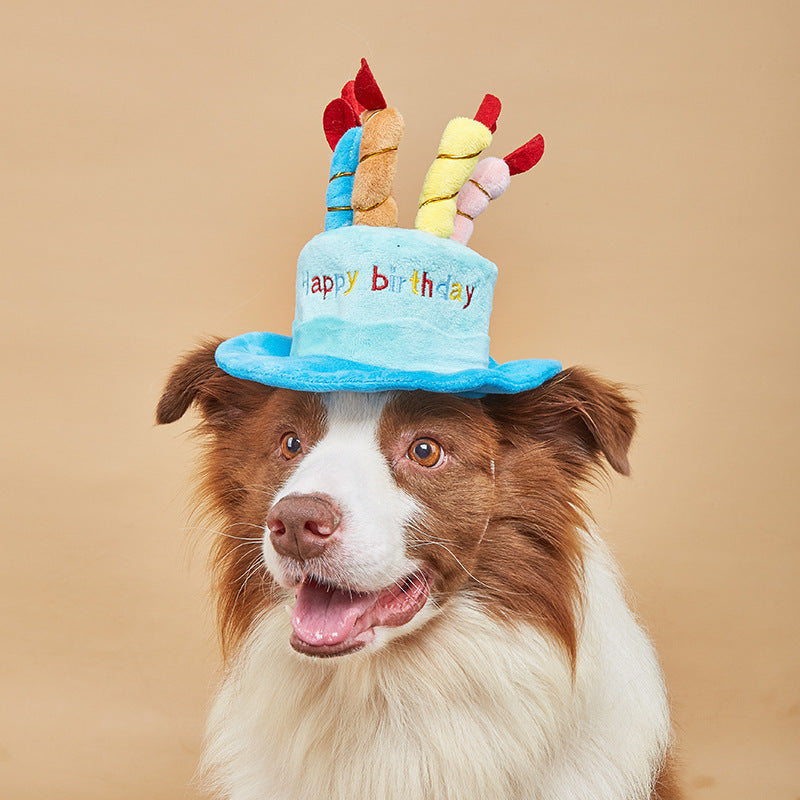 Cute Dog Birthday Hat Toy Dog Birthday Gift