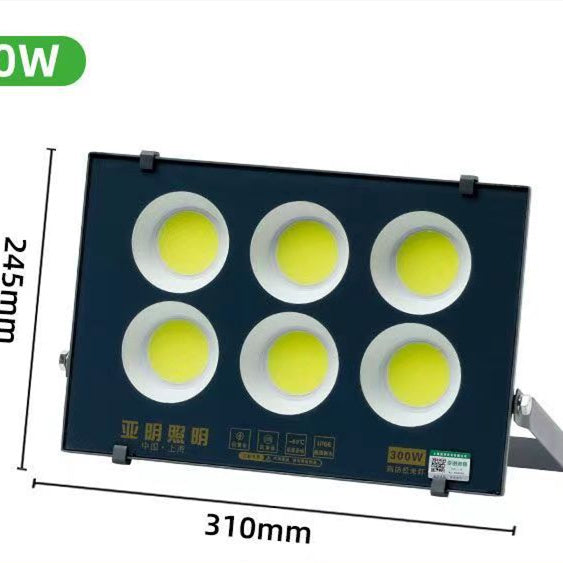 Yameen Led Projection COB Floodlight